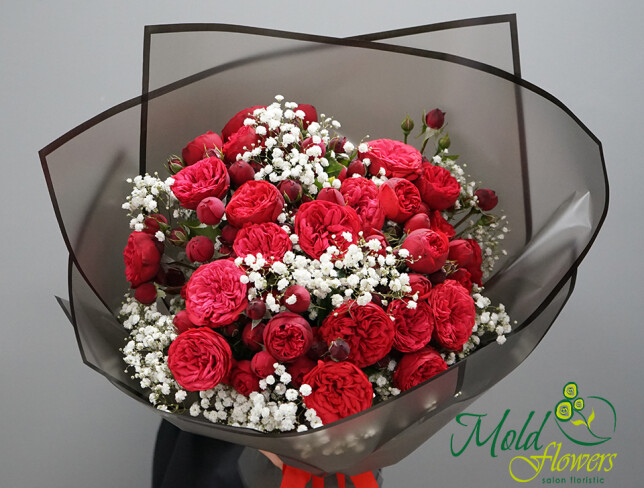 Bouquet of red peony roses and white gypsophila photo